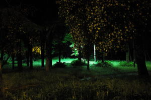 artificial lighting, Croatia, eye level view, grass, night, park, spring, tree, urban, Zadar, Zadarska