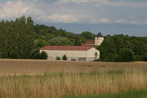 barn, Bourgogne, crop, day, Dijon, eye level view, field, France, natural light, tree