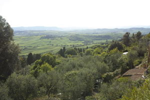 day, elevated, greenery, Italia , Siena, spring, sunny, Toscana, tree, tree canopy, valley