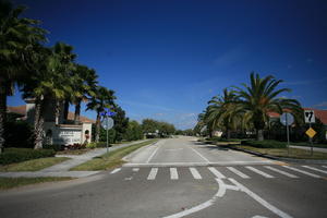 crossing, day, eye level view, Florida, Miami, natural light, palm, street, sunny, The United States, tropical, vegetation, winter