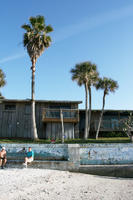 beach, day, eye level view, Florida, man, palm, Sarasota, sitting, sunny, sunshine, The United States, villa, winter