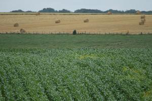 Amiens, crop, day, eye level view, farm, field, France, haystack, natural light, Picardie, summer