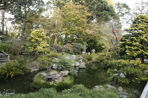 autumn, bush, California, day, diffuse, diffused light, eye level view, manicured trees, park, pond, San Francisco, shrub, The United States, tree