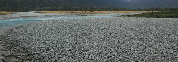 day, diffuse, diffused light, eye level view, natural light, New Zealand, river, riverbank, summer, West Coast