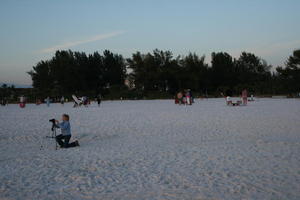 beach, eye level view, Florida, people, photographer, Sarasota, standing, sunny, sunset, sunshine, The United States, tree, winter