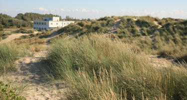 beach, Belgium, day, dunes, eye level view, grass, summer, sunny