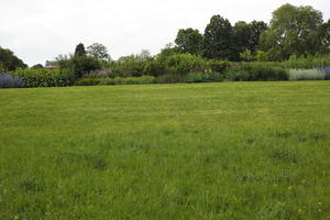 day, England, eye level view, grass, lawn, London, natural light, park, spring, The United Kingdom, vegetation