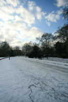 ambient light, Battersea park, day, diffuse, diffused light, England, eye level view, London, natural light, park, snow, The United Kingdom, track, tree, vegetation, winter