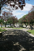 alley, broad-leaf tree, broad-leaved tree, day, eye level view, park, Porto, Porto, Portugal, shady, spring, sunny