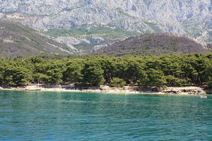 beach, coastline, Croatia, day, eye level view, Makarska, people, seascape, Splitsko-Dalmatinska, summer, sunbathing, tree, vegetation, woodland