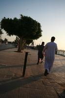 back, day, dusk, East Timor, Egypt, Egypt, eye level view, man, middleastern, natural light, street, tree, walking