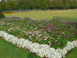 afternoon, day, England, eye level view, flower, garden, grass, natural light, park, plant, summer, sunny, The United Kingdom