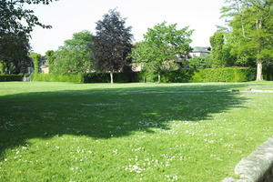 day, England, eye level view, grass, lawn, park, Romsey, sunny, The United Kingdom, tree