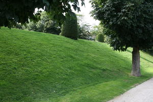 Belgium, Brussels, day, eye level view, grass, natural light, park, summer, tree, vegetation