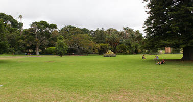 Australia, day, eye level view, grass, natural light, New South Wales, park, summer, Sydney, tree, vegetation