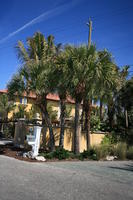 building, day, eye level view, Florida, house, Miami, natural light, palm, postbox, sunny, The United States, tropical, vegetation, winter