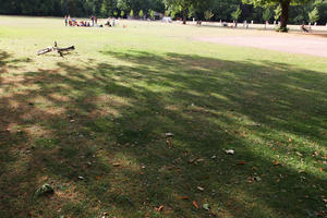 day, direct sunlight, England, eye level view, grass, London, park, shady, summer, sunny, The United Kingdom