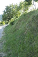 Croatia, day, diffuse, diffused light, eye level view, grass, grassland, natural light, spring