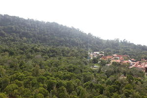 day, elevated, forest, Kedah, Malaysia, mountain, sunny, vegetation