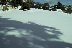 day, eye level view, France, Greolieres, hill, Provence Alpes Cote D