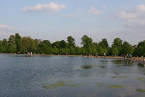 broad-leaf tree, broad-leaved tree, day, deciduous, England, eye level view, lake, London, park, spring, sunny, The United Kingdom, tree, treeline