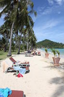 beach, day, eye level view, Ko Phi Phi Don, Krabi, natural light, palm, potted plant, sunbed, sunny, Thailand, tree, vegetation