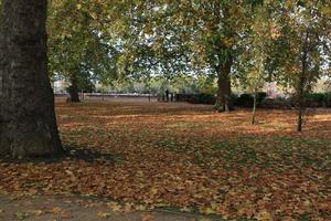 afternoon, autumn, Battersea park, day, England, eye level view, leaf, London, park, The United Kingdom, tree