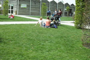 day, England, eye level view, family, garden, grass, group, natural light, park, people, The United Kingdom, Woking