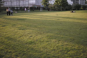 afternoon, England, eye level view, grass, greenery, ground, London, looking down, open space, outdoors, park, The United Kingdom