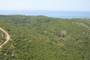 bright, day, elevated, greenery, mountain, shrubbery, shrubland, summer, sunny