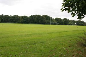 day, England, eye level view, field, grass, London, natural light, The United Kingdom, vegetation