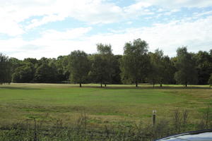 autumn, bright, day, England, eye level view, field, grass, London, park, The United Kingdom, vegetation