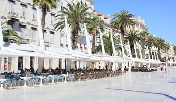 cafe, chair, Croatia, day, evergreen, eye level view, furniture, palm, pavement, Phoenix canariensis, Splitsko-Dalmatinska, summer, sunny, table