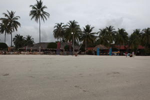 beach, day, dusk, eye level view, Kedah, Malaysia, palm, vegetation