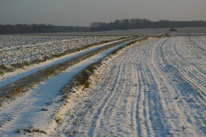 Poland, Wielkopolskie