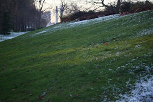 dusk, England, grass, London, lowered, The United Kingdom, vegetation, winter