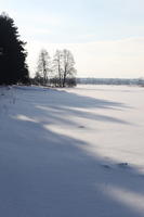 afternoon, bright, day, eye level view, field, Poland, shady, snow, sunny, Wielkopolskie, winter