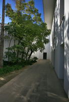 Alicante, alley, day, eye level view, pavement, Spain, sunny, tree, Valenciana