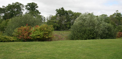 broad-leaf tree, broad-leaved tree, day, diffuse, diffused light, England, eye level view, grass, Lincoln, outdoors, overcast, park, summer, The United Kingdom, tree