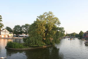 broad-leaf tree, broad-leaved tree, canal, day, deciduous, elevated, England, outdoors, Stratford-Upon-Avon, summer, sunny, The United Kingdom, tree, weeping willow