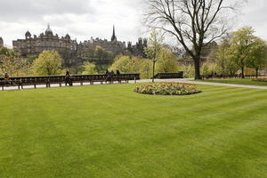 afternoon, day, Edinburgh, eye level view, flower, garden, grass, natural light, park, Scotland, spring, The United Kingdom