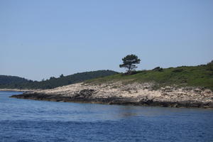 coastline, Croatia, day, eye level view, seascape, summer, tree, vegetation