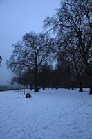 Battersea park, England, evening, eye level view, London, park, snow, The United Kingdom, tree