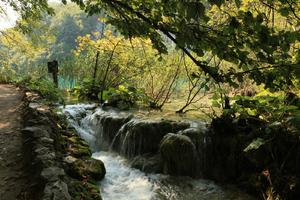 Croatia, day, eye level view, Karlovacka, sunny, tree, vegetation, waterfall