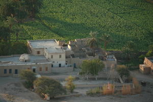 aerial view, building, dusk, East Timor, Egypt, Egypt, palm, tree, vegetation