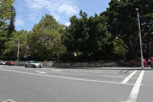 Australia, car, day, eye level view, New South Wales, street, summer, sunny, Sydney, tree, vegetation