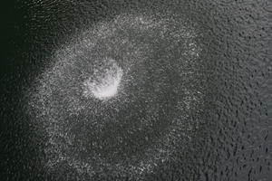 above, day, diffuse, diffused light, England, London, pond, summer, The United Kingdom