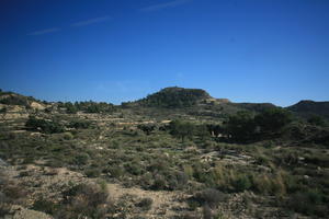 Calpe, day, eye level view, greenery, shrubland, Spain, sunny, tree, Valenciana