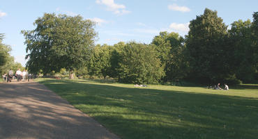 afternoon, broad-leaf tree, broad-leaved tree, day, England, eye level view, grass, London, park, summer, sunny, The United Kingdom, treeline