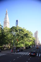 building, car, crossing, day, elevated, Manhattan, New York, street, sunny, The United States, tree, vegetation